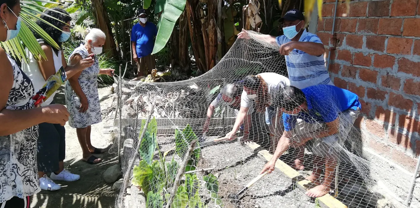 Restoring Mangrove Forests and Indigenous Livelihoods in the Coastal Regions of Ecuador
